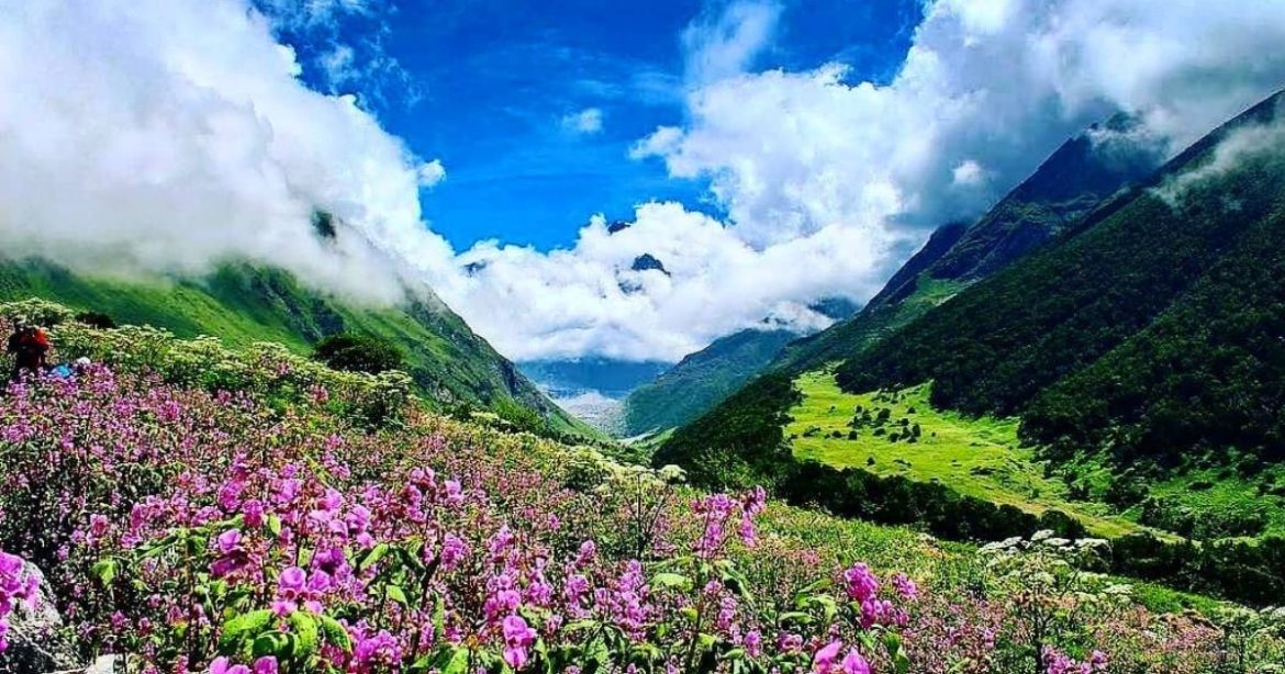Planning To Visit Uttarakhand's Valley Of Flowers? Here's A Guide