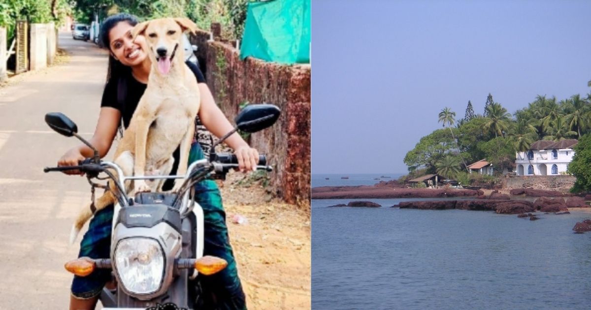 This Dog Hitchhiked With A Traveller In Goa And Internet Cannot Get Over Its Cuteness