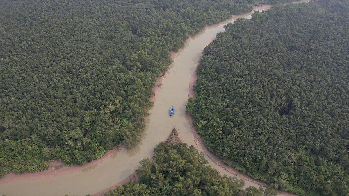 We Explored India’s Second Largest Mangrove Wetland, Bhitarkanika & It Was Stunning