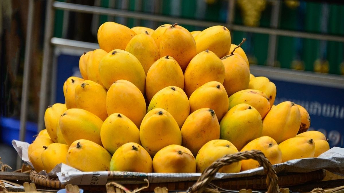 How To Identify Different Varieties Of Mangoes? Here’s A Guide