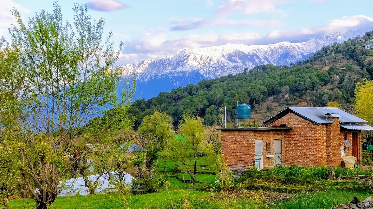 Himachal Music Festival