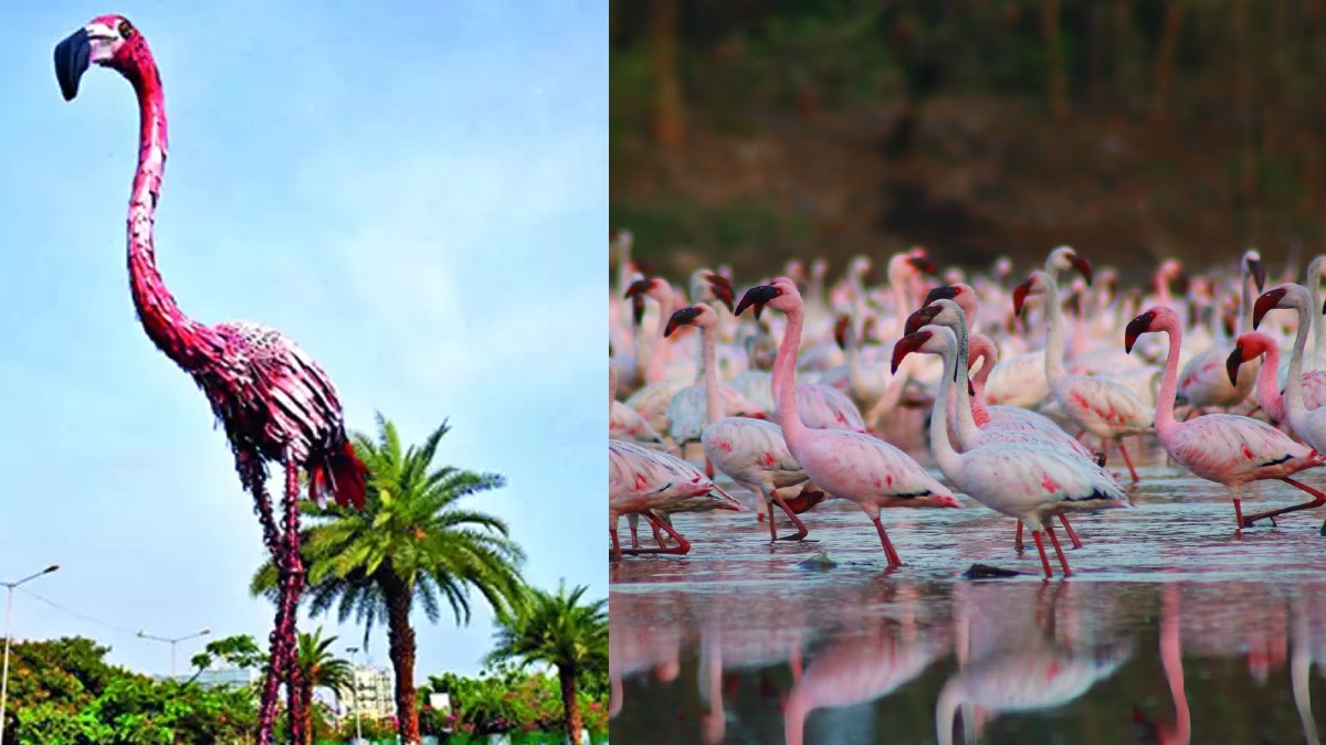 This Flamingo In Navi Mumbai Is India’s Tallest Waste Metal Sculpture