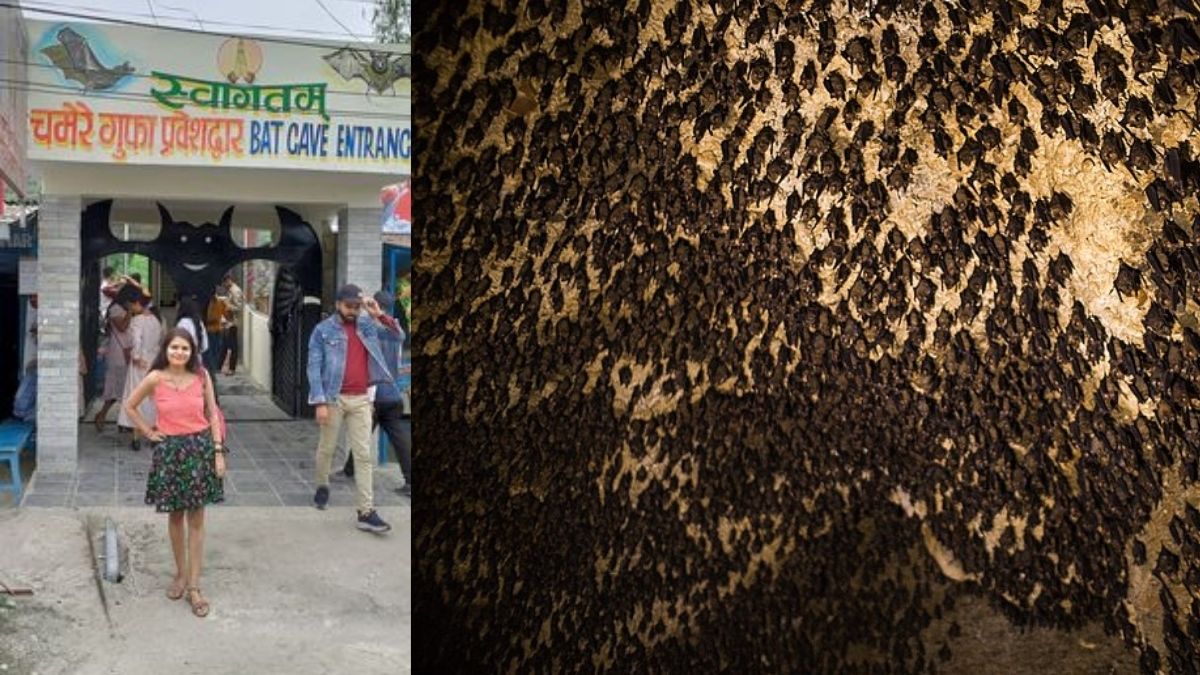 I Visited The Chamere Gufa In Nepal Where I Was Surrounded By 30,000 Bats
