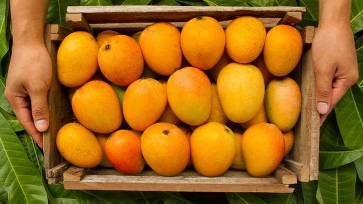Pay A Lot More For Mangoes This Summer And Here’s Why!