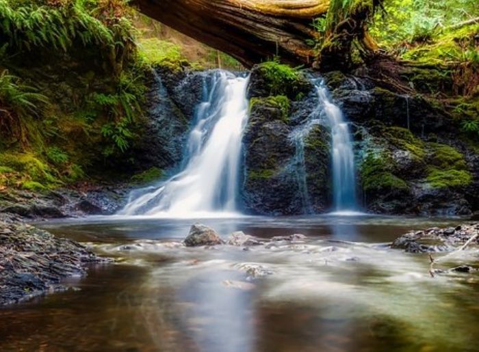 natural swimming pools