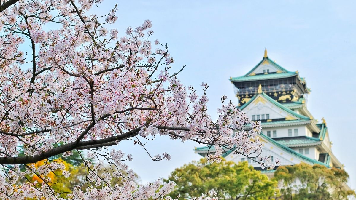 Everything You Need To Know Before Travelling To Japan Right Now