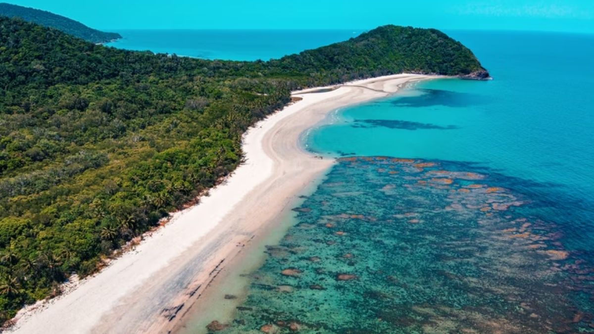 Summer Heatwave Damages 91% Of Great Barrier Reef: Report