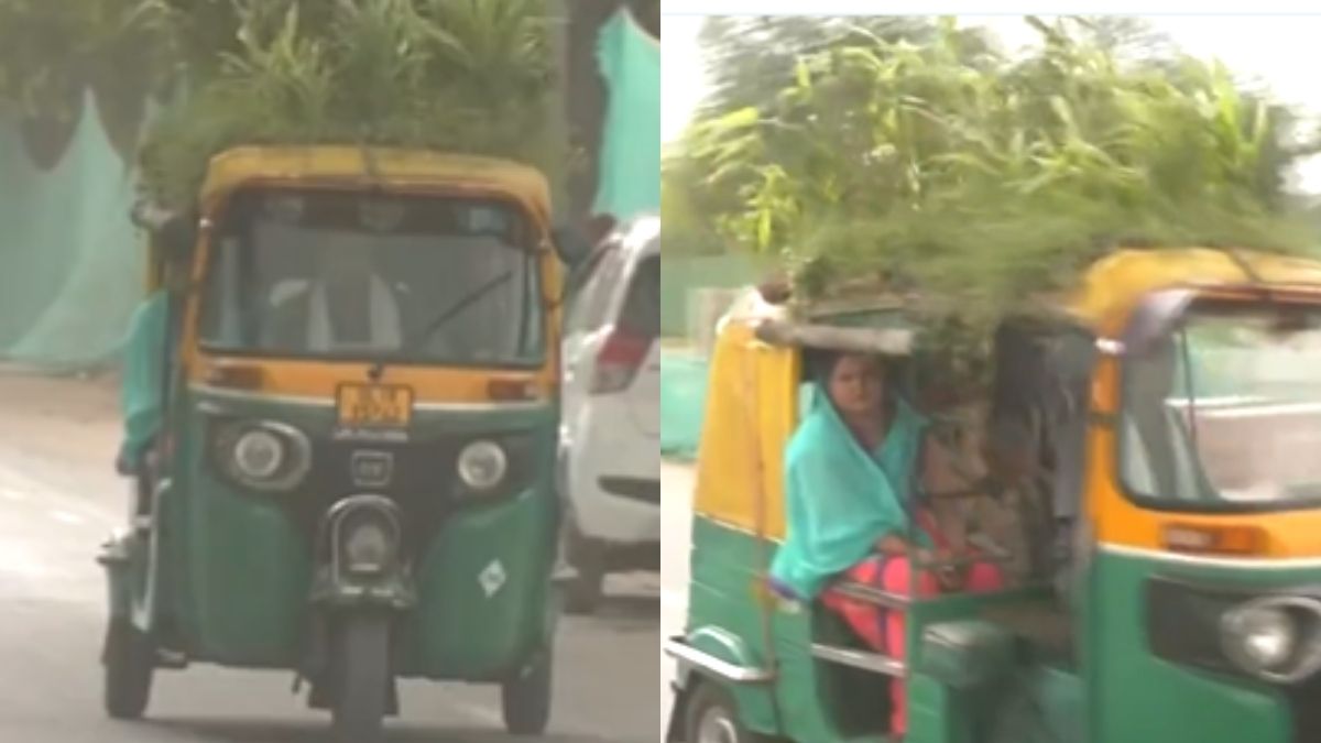 This Delhi Autorickshaw Has A Roof-Top Garden To Beat The Heat On The Move