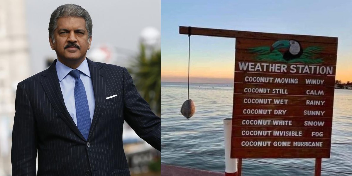 anand mahindra coconut weather forecasting