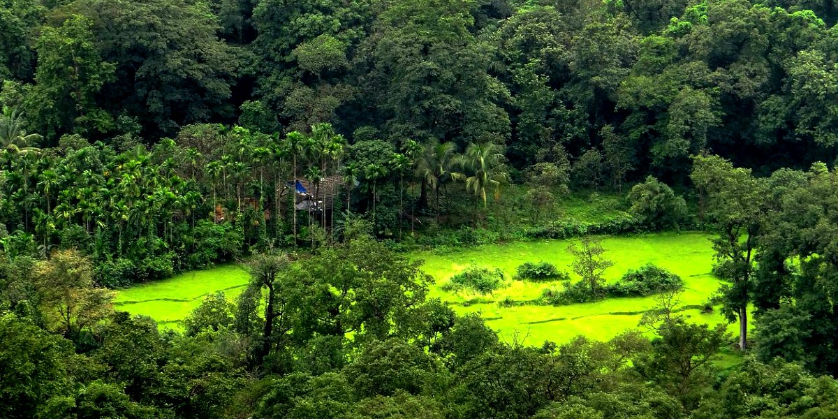 Goa To Turn These Forest Areas Into Eco-Tourism Hubs