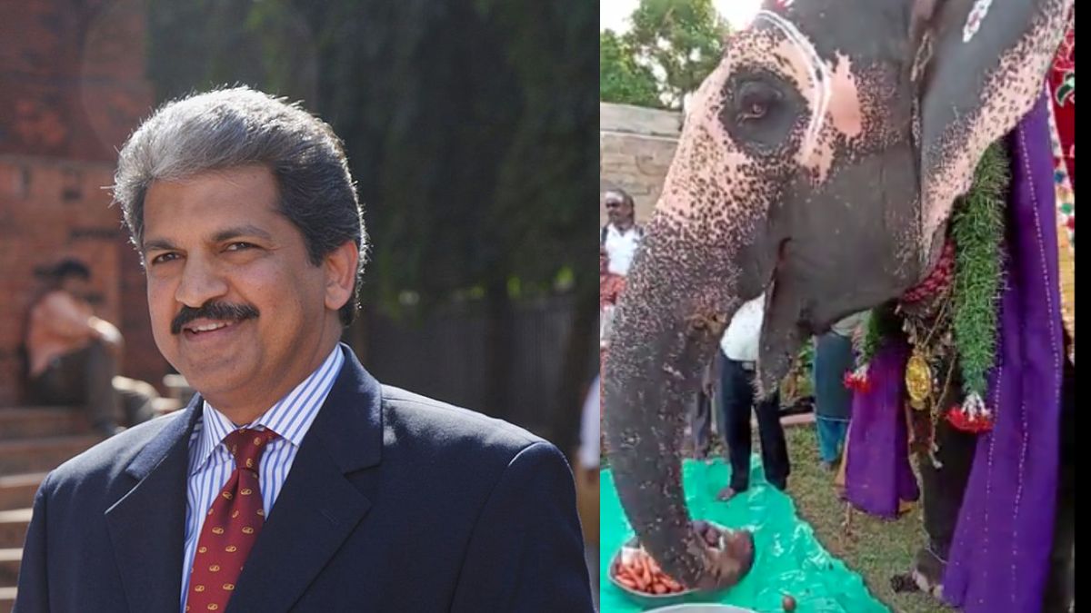 Anand Mahindra Shares Clip Of Cute Elephant Celebrating Birthday In Tamil Nadu; Netizens Heart It!