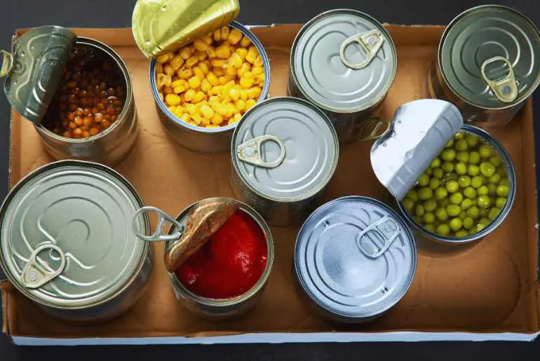 hand luggage food items
