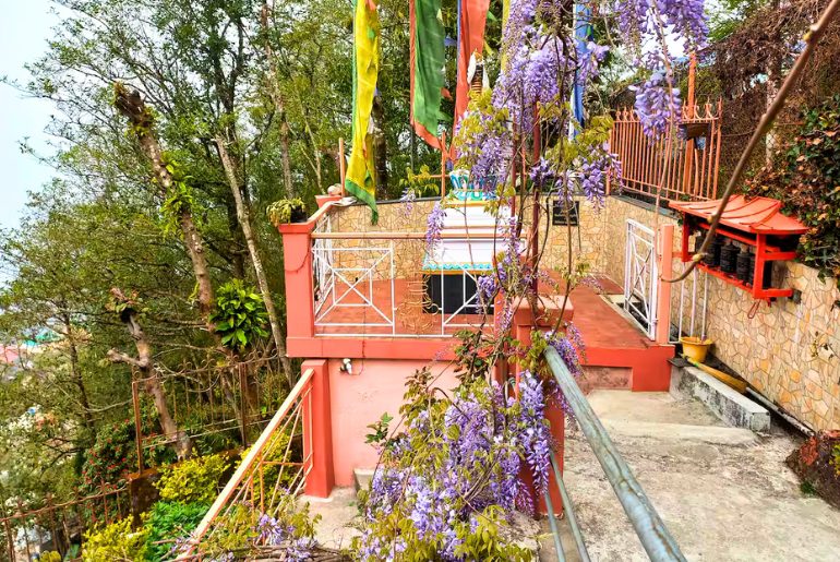 Darjeeling airbnbs