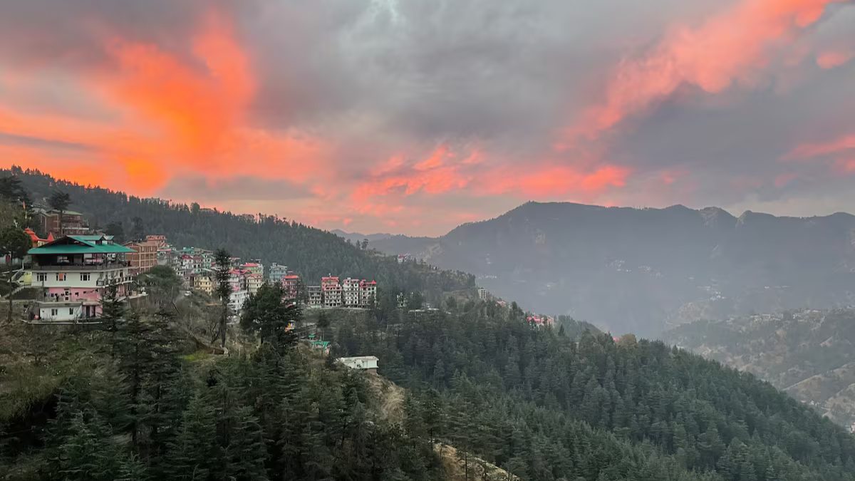 12 Airbnbs In Shimla To Book Under ₹5,000 For A Dreamy Mountain Getaway