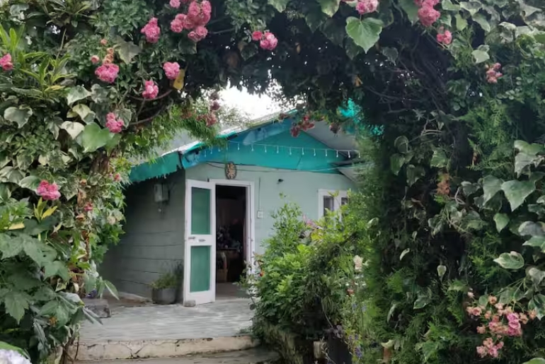 Shimla Airbnbs