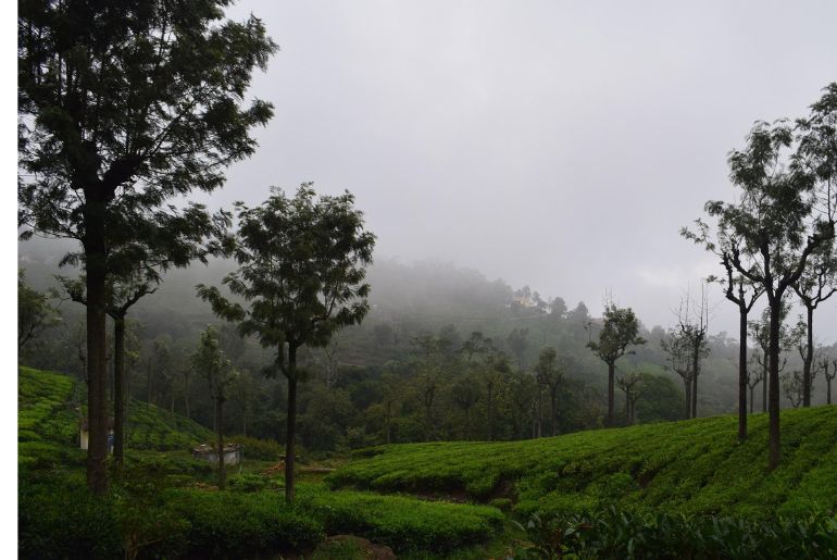 Coonoor_1