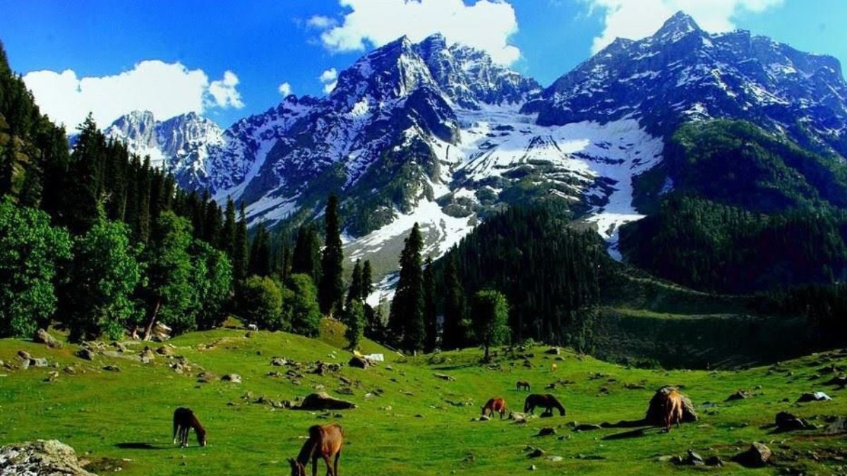 How To Book Travel Agencies For Kashmir Trip? Here’s A Guide