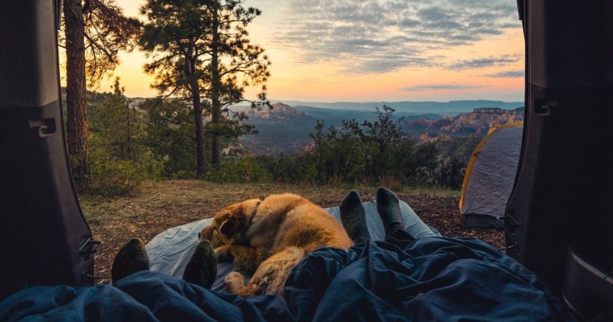 Take Your Pooches To These Pet-Friendly Campsites Across India
