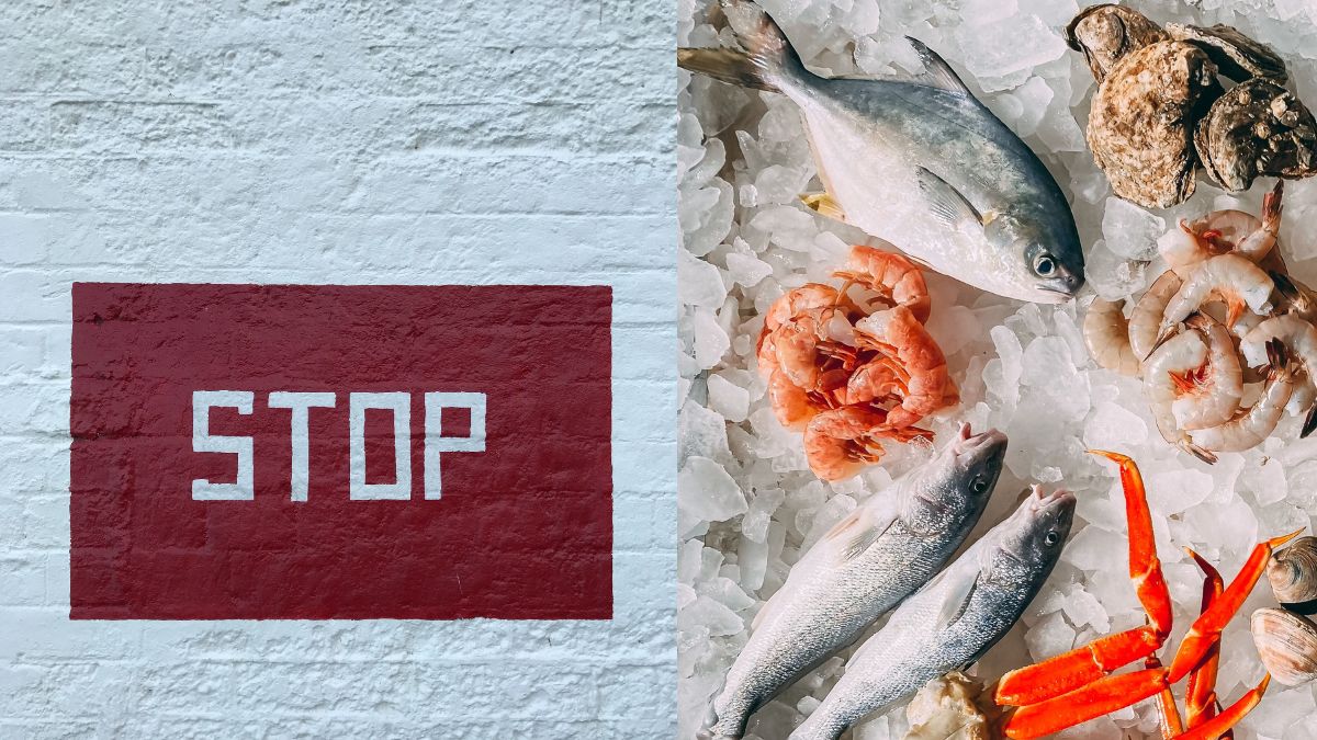 5 Seafoods That Can Potentially Kill You
