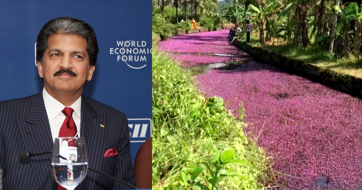 Anand Mahindra In Awe Of Kerala River That Turned Pink; Calls It River Of Hope