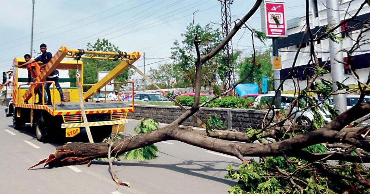 Over 9000 Trees Felled In Bangalore Due To Metro Project Destroying The Environment