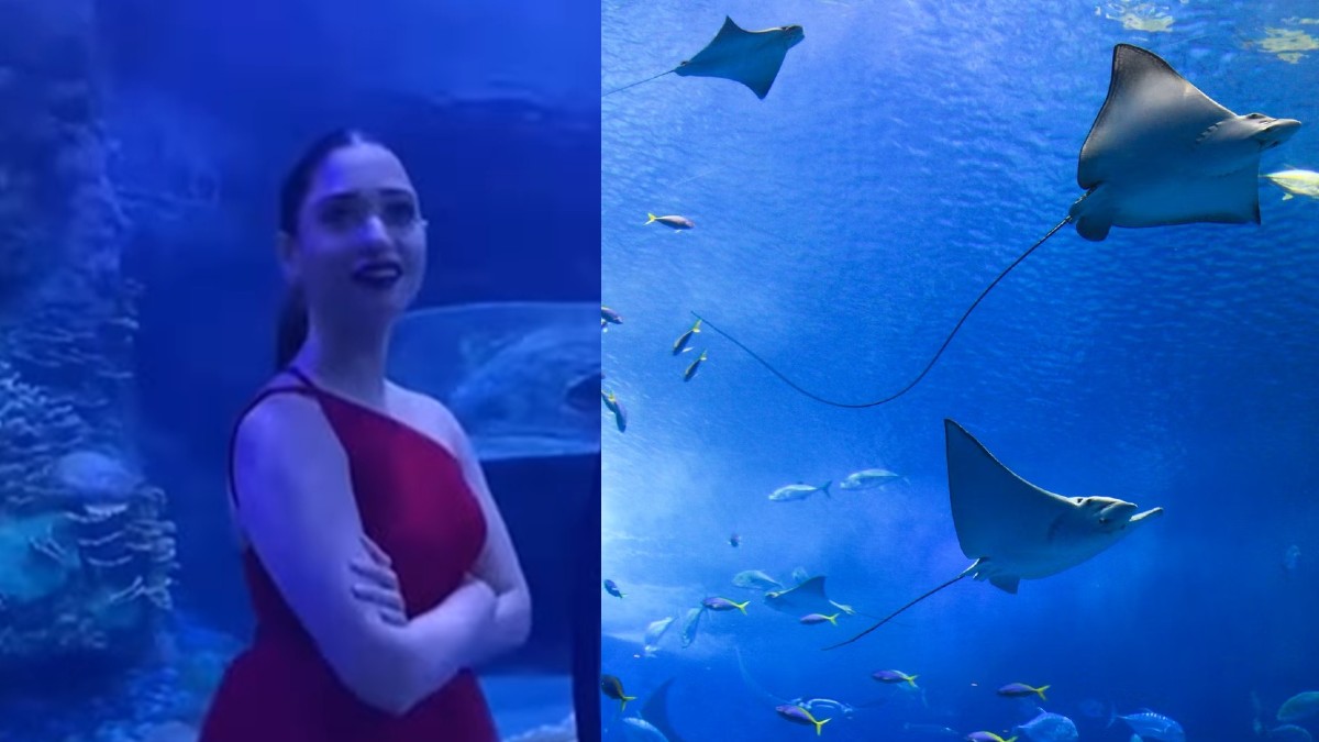 Tamannaah Bhatia Is Awestruck By Dubai Aquarium; Gets Greeted By Stingray