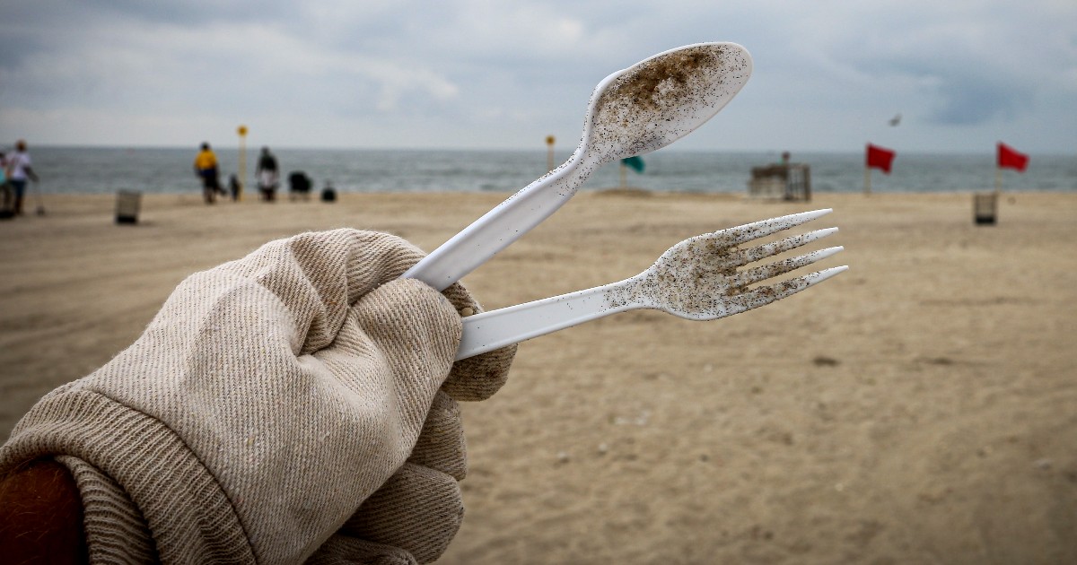 You Need To Stop Using Plastic Plates And Cutlery For Eating Out From July 1