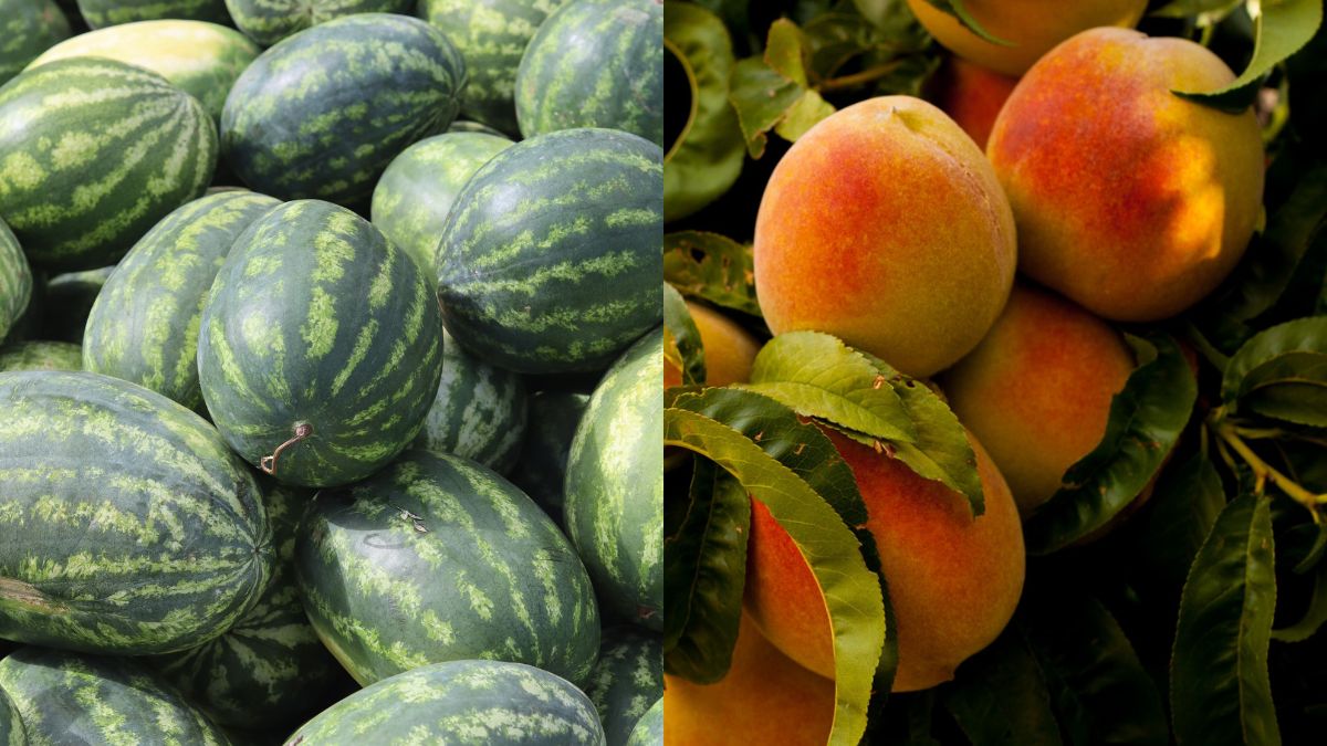 Chinese Property Developers Accepting Foods Like Peach And Watermelon As Payments And Here’s Why