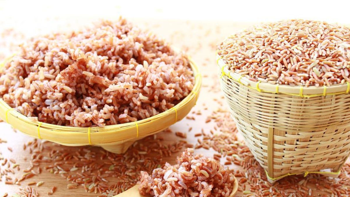 Can Eating Brown Rice Really Help You Lose Weight? Here’s The Fact