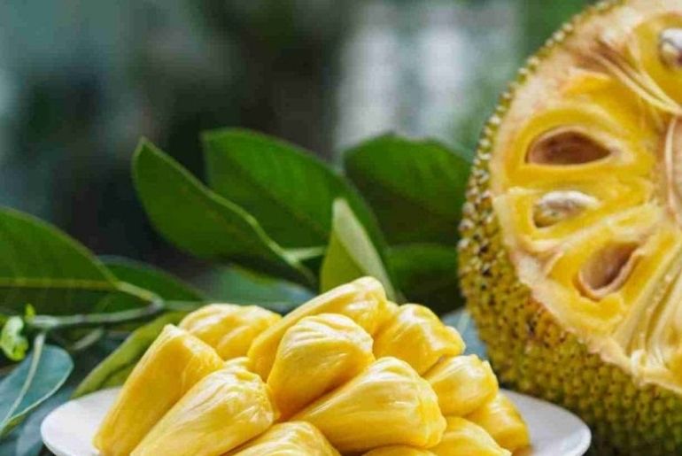 Jackfruit