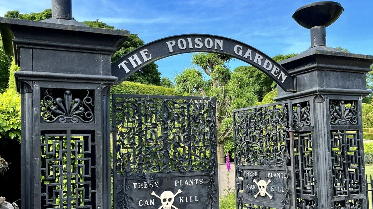 World’s Deadliest ‘Poison Garden’ Has More Than 100 Varieties Of Dangerous Plants