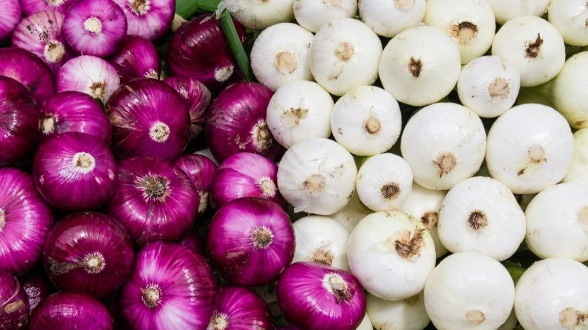 Red Onions the White Which Healthier?