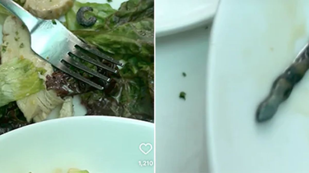 Man Finds Lizard On His Chicken Salad At A Popular Delhi Eatery And Netizens Are Irked
