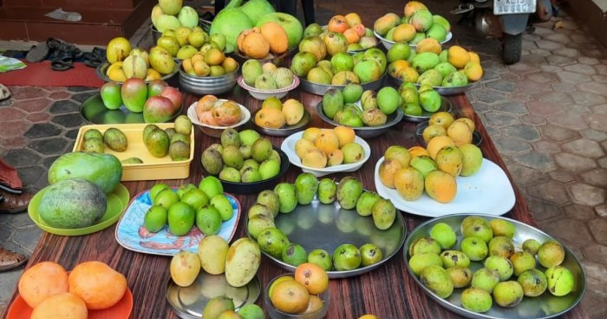 This Village In Kerala Grows Over 100 Varieties Of Mangoes For Every Mango Lover