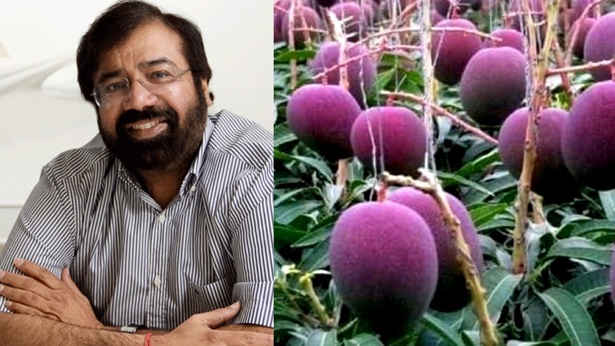 Harsh Goenka Reveals Interesting Info About World’s Costliest Mangoes