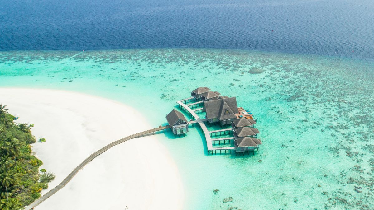 Sell Books In This Dreamy Maldives Island And Earn ₹59,000 Monthly Along With Free Food And Stay