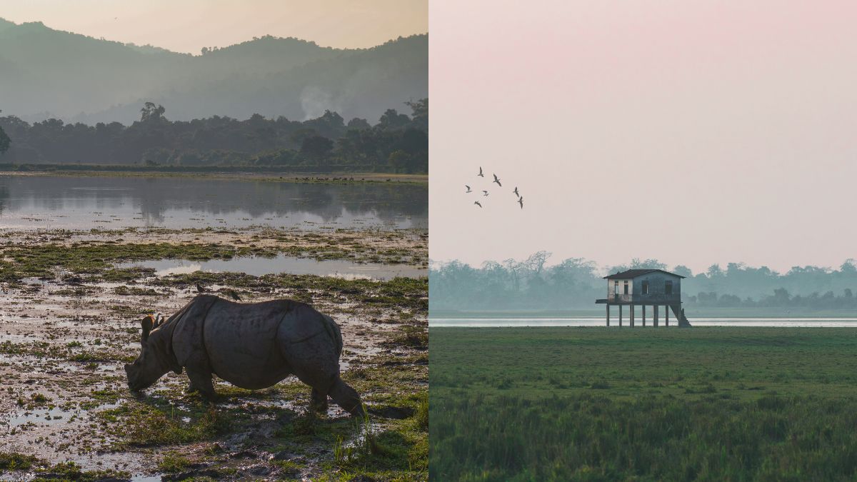 Kaziranga Wildlife Destination