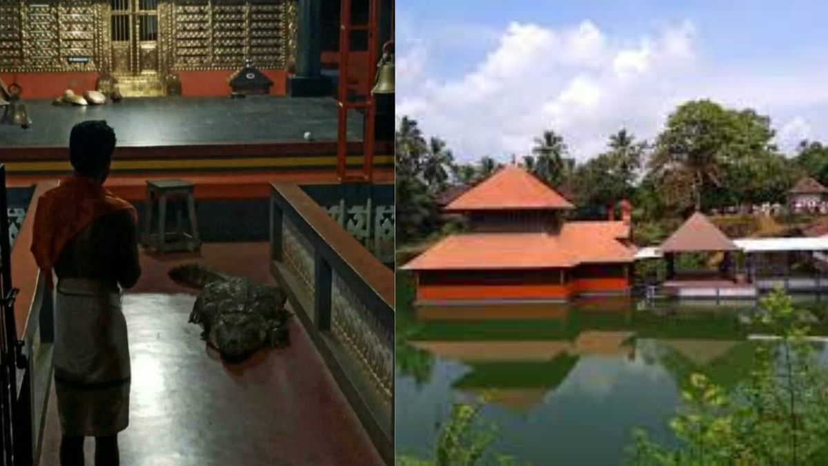 The Only Lake Temple In Kerala Has A Vegetarian Crocodile