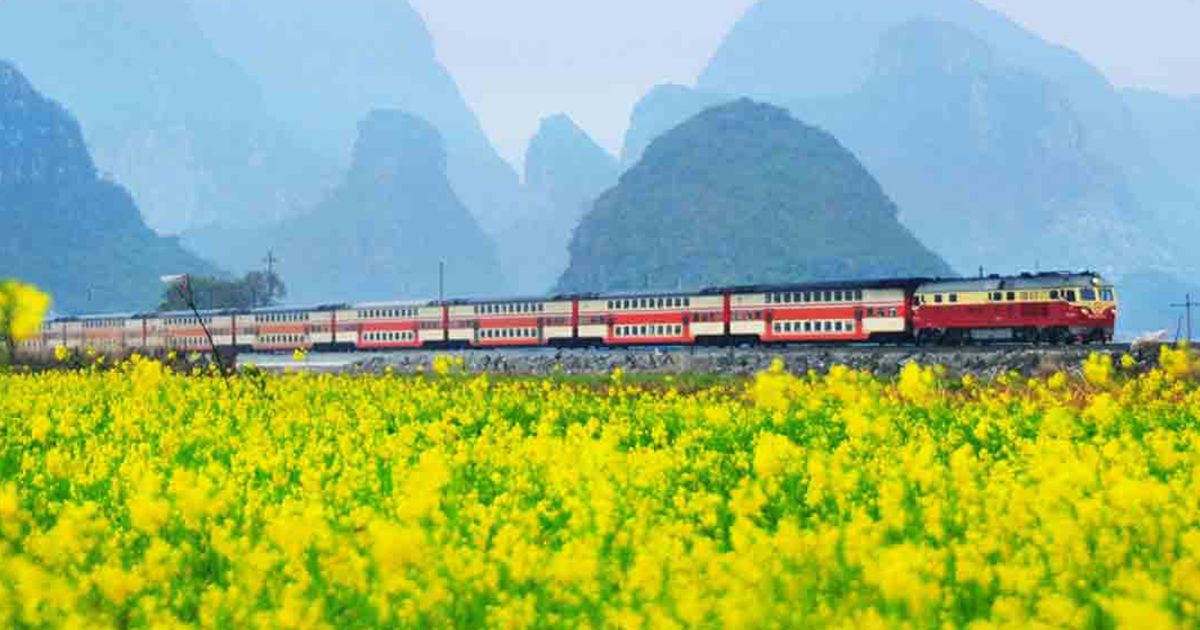 Aesthetic Local Train Journeys Will Be A Reality In Mumbai As Railways Replace Vegetable Farms With Flowering Plants