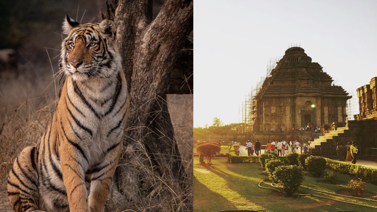 India May Soon Get 54 New Airports To Boost Wildlife And Religious Tourism