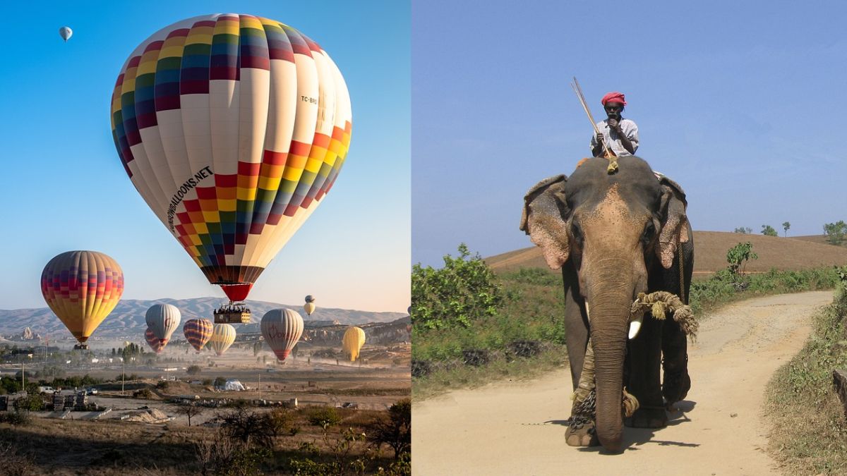 From Hot Air Balloon Safari To Elephant Rides, 5 Forest Adventures To Try In India