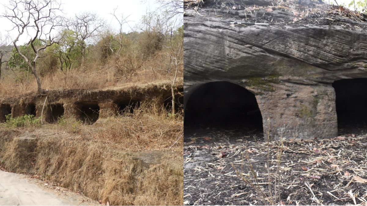 Ancient Temples & Buddhist Structures Discovered In MP’s Bandhavgarh Forest Reserve