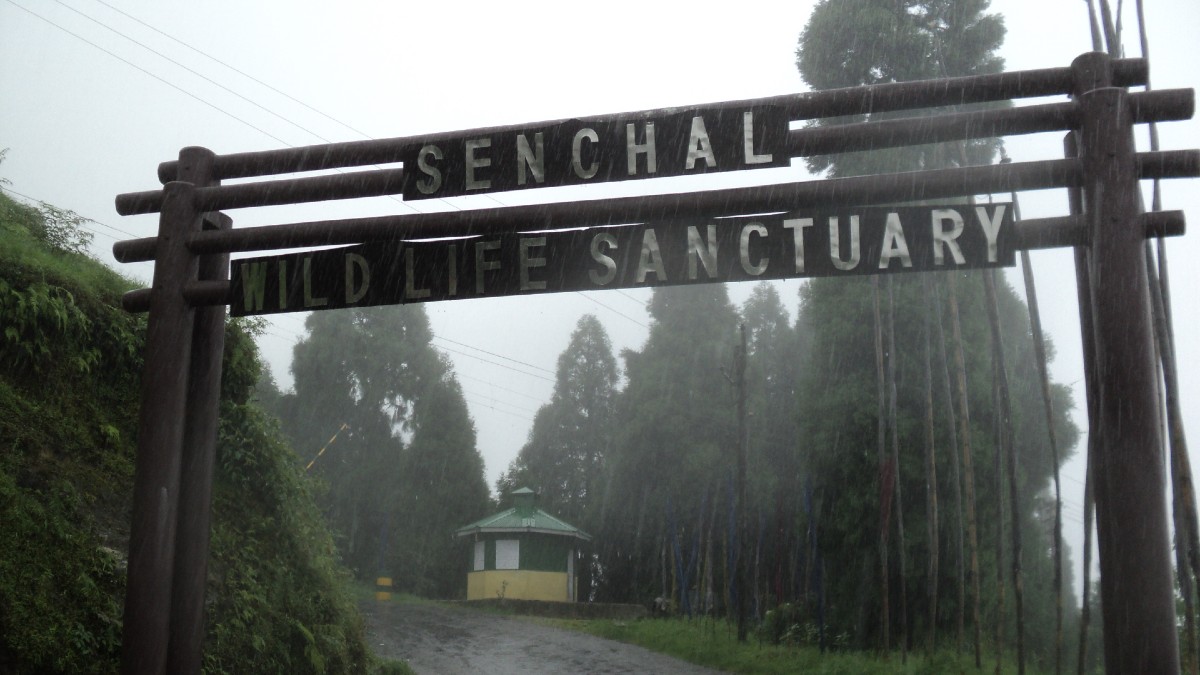 Wildlife Sanctuary Darjeeling