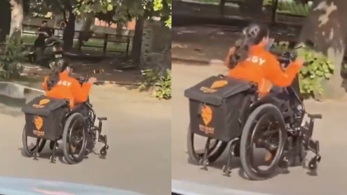 Specially-Abled Woman Delivering Food In Wheelchair Wins Over Women Commission Chief 