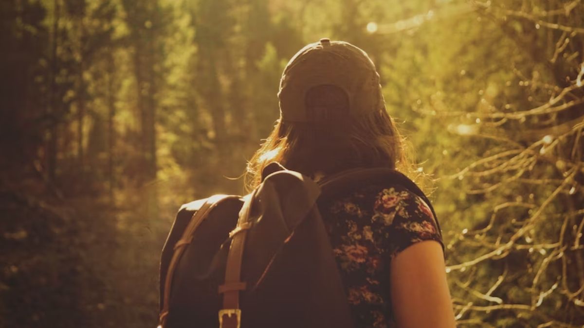 5 Essentials To Carry On A Forest Trek