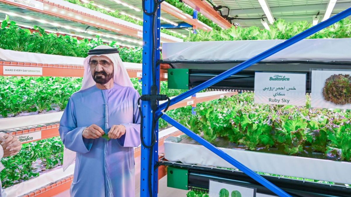Sheikh Mohammed Visits The World’s Largest Vertical Farm In Dubai