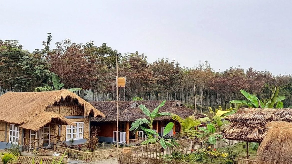 Eco resort Kanoka Assam village
