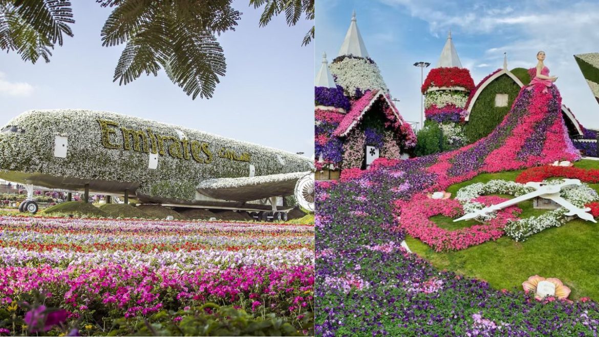 Dubai Miracle Garden attractions