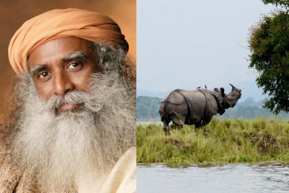 Indo-French project brings forth changes in Assam's Kaziranga National Park