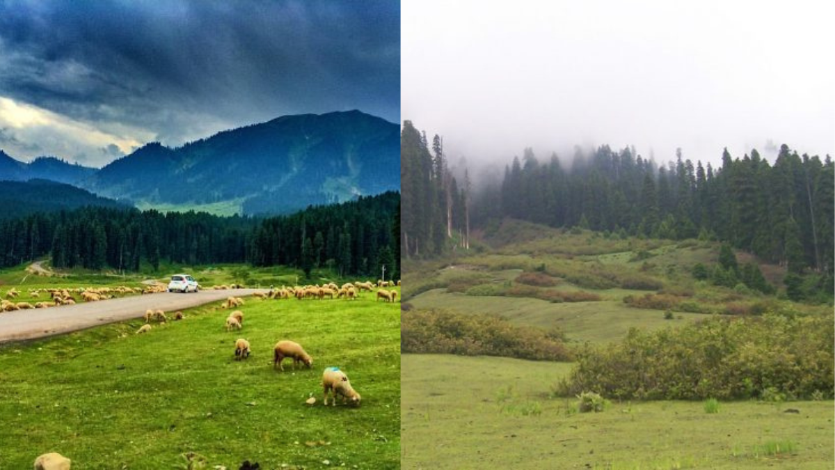 The Bowl-Shaped Valley Called Doodhpathri In J&K Is Must Visit!